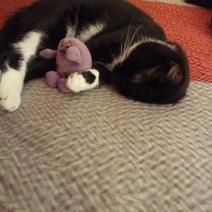 Meet your Posher, Kent